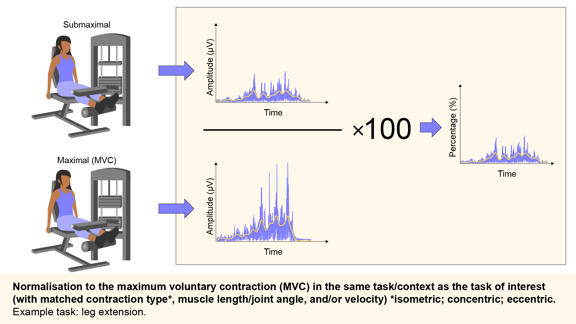 Normalization to the maximum voluntary contraction (MVC) in the same task/context as the task of interest (with matched contraction type*, muscle length/joint angle, and/or velocity) *isometric; concentric; eccentric
